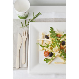Sugarcane Plate Square shape White 20x20 cm (50 Units) 