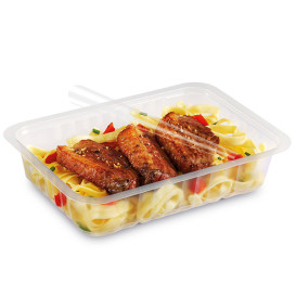 Plastic Container Heat Sealable Translucent 1015ml 19,2x13,7x5,5cm (100 Units)  