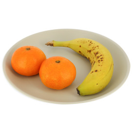 Reusable Plate Premium PP Mineral Grey Ø21cm (6 Units)