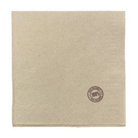 Paper Napkin Eco "Recycled" 33x33cm 1C (100 Units) 