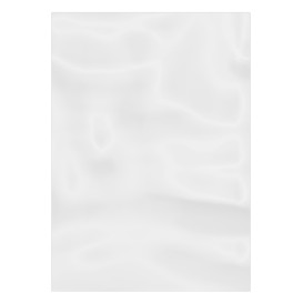 Plastic Bag G100 16x22cm (100 Units)  