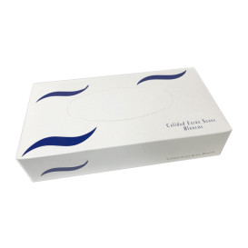 Facial Tissue 2 Layers Case 100 Units (1 Unit) 